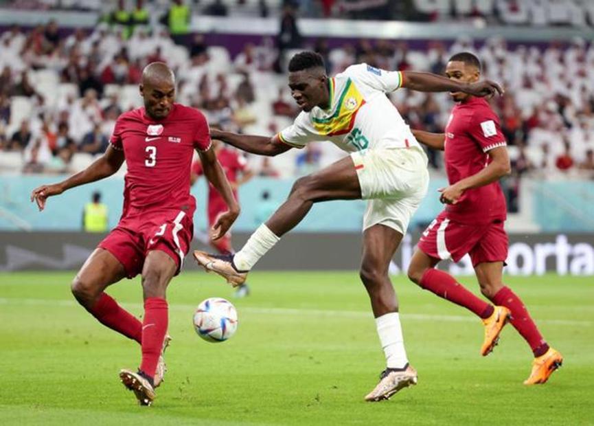 卡塔尔世界杯最大赢家原声,卡塔尔世界杯最大的赢家是谁