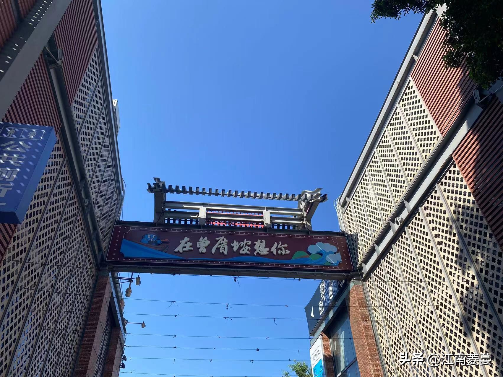 为什么那么多人选择去厦门旅游,浙江海岛和厦门哪里值得去