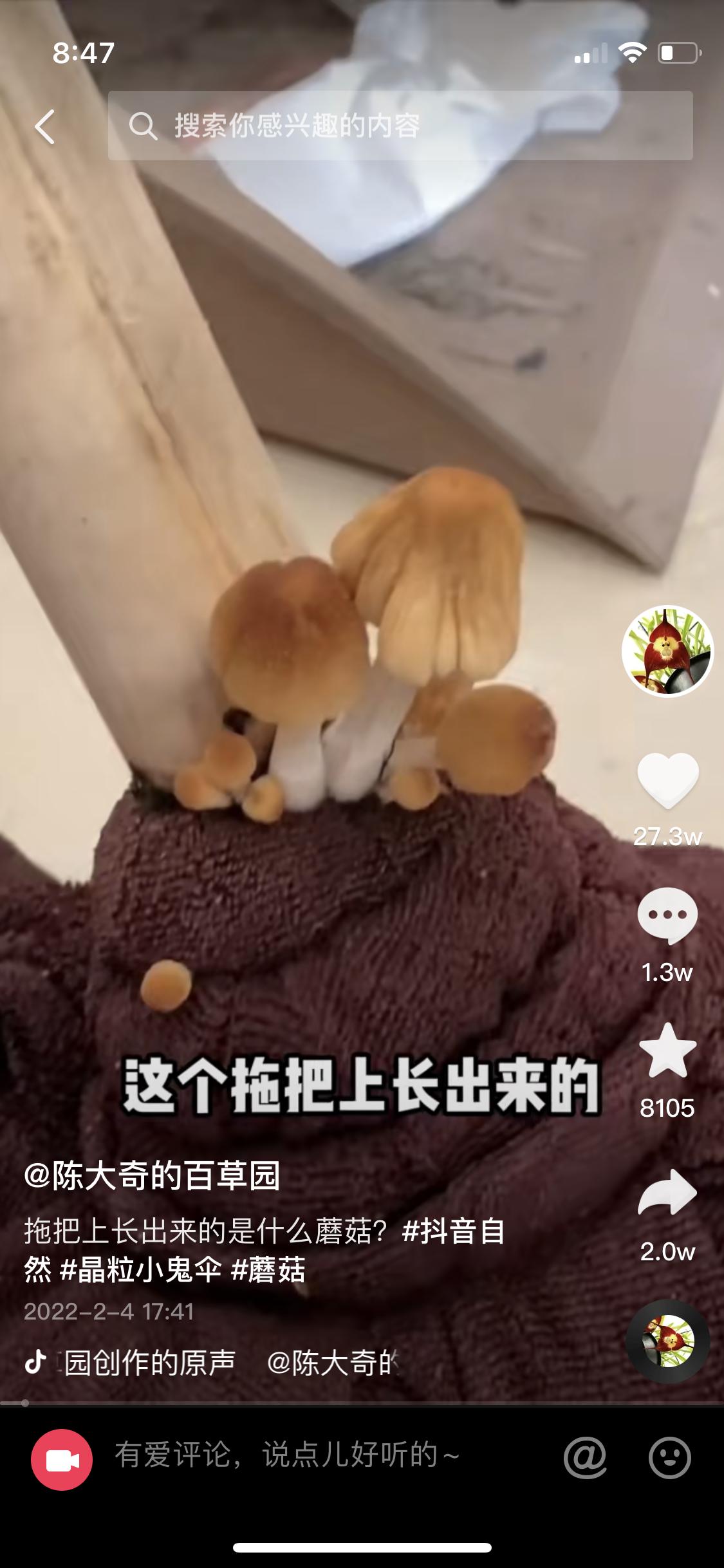 甘蔗变红是什么毒,甘蔗变红有毒图片