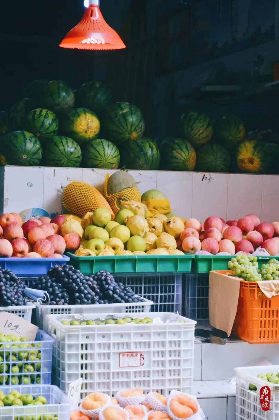 邂逅南岸的100个瞬间,推荐一个好地方南岸公园