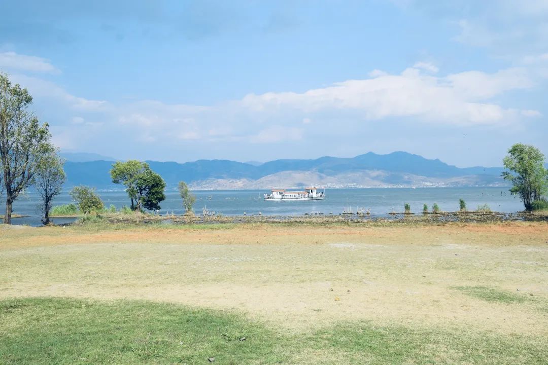 打飞的都要去坐的动车,怎么每站都这么好看