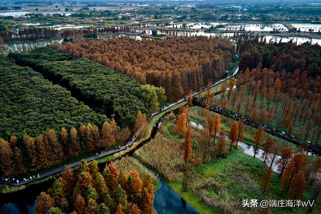 去上海十个必打卡地，每一个都美不胜收