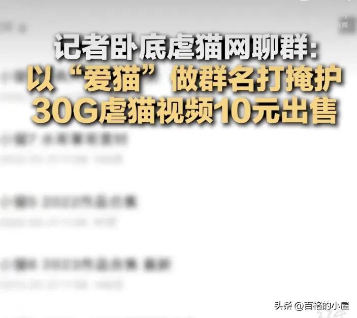 恶趣味！以爱猫为幌子售卖虐猫视频，10元30G，群内讨论虐猫手法