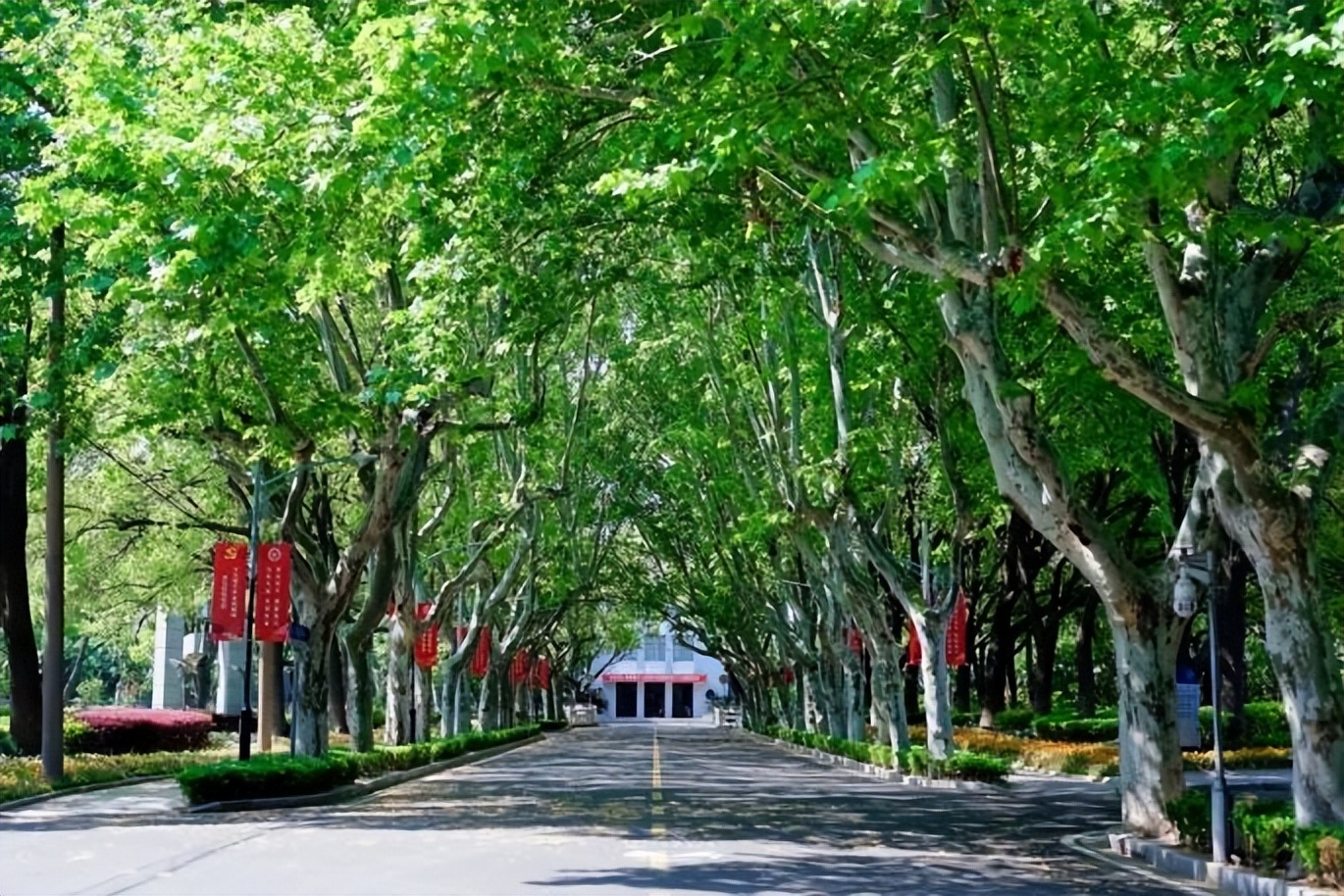 走出67名教授名单,各高校走出的院士排名