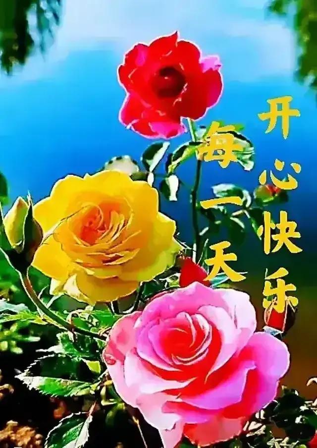 庚子日柱2023年癸卯年运势,癸卯年2023年哪个月出生最好