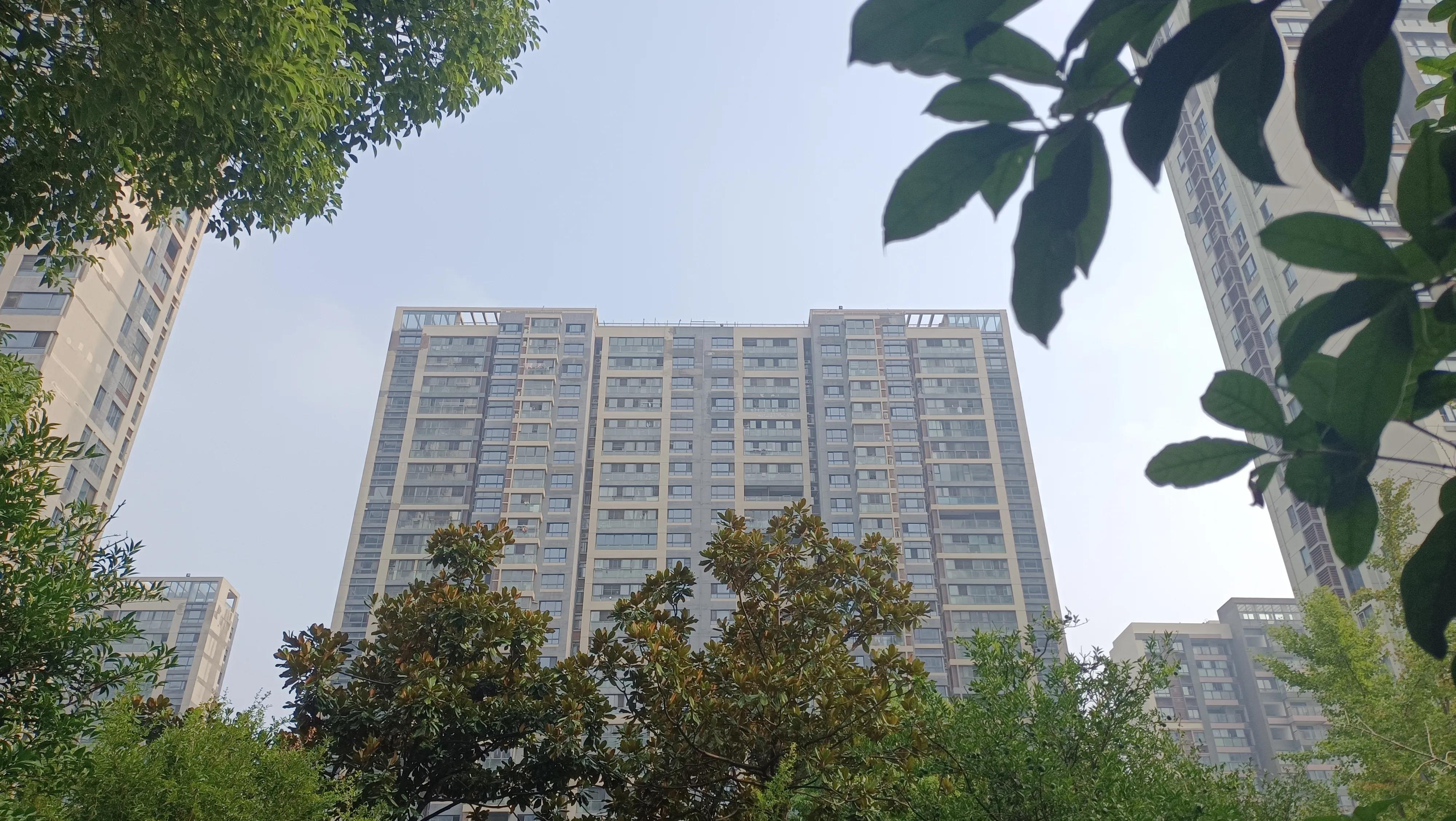 白术肉苁蓉桂枝五味子,阳气不足用肉苁蓉加菟丝子的剂量