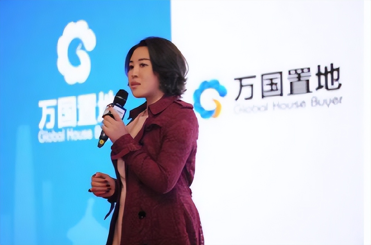 一个女企业家在美国被捕的教训,女企业家潜逃国外