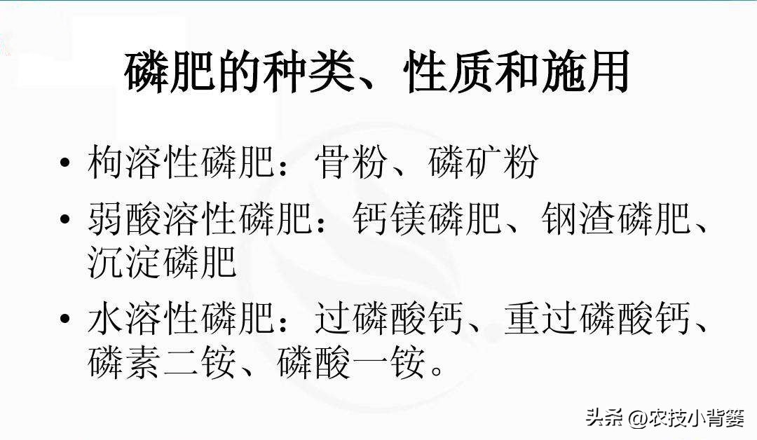 磷肥过量施用会怎样,磷元素缺乏有什么危害