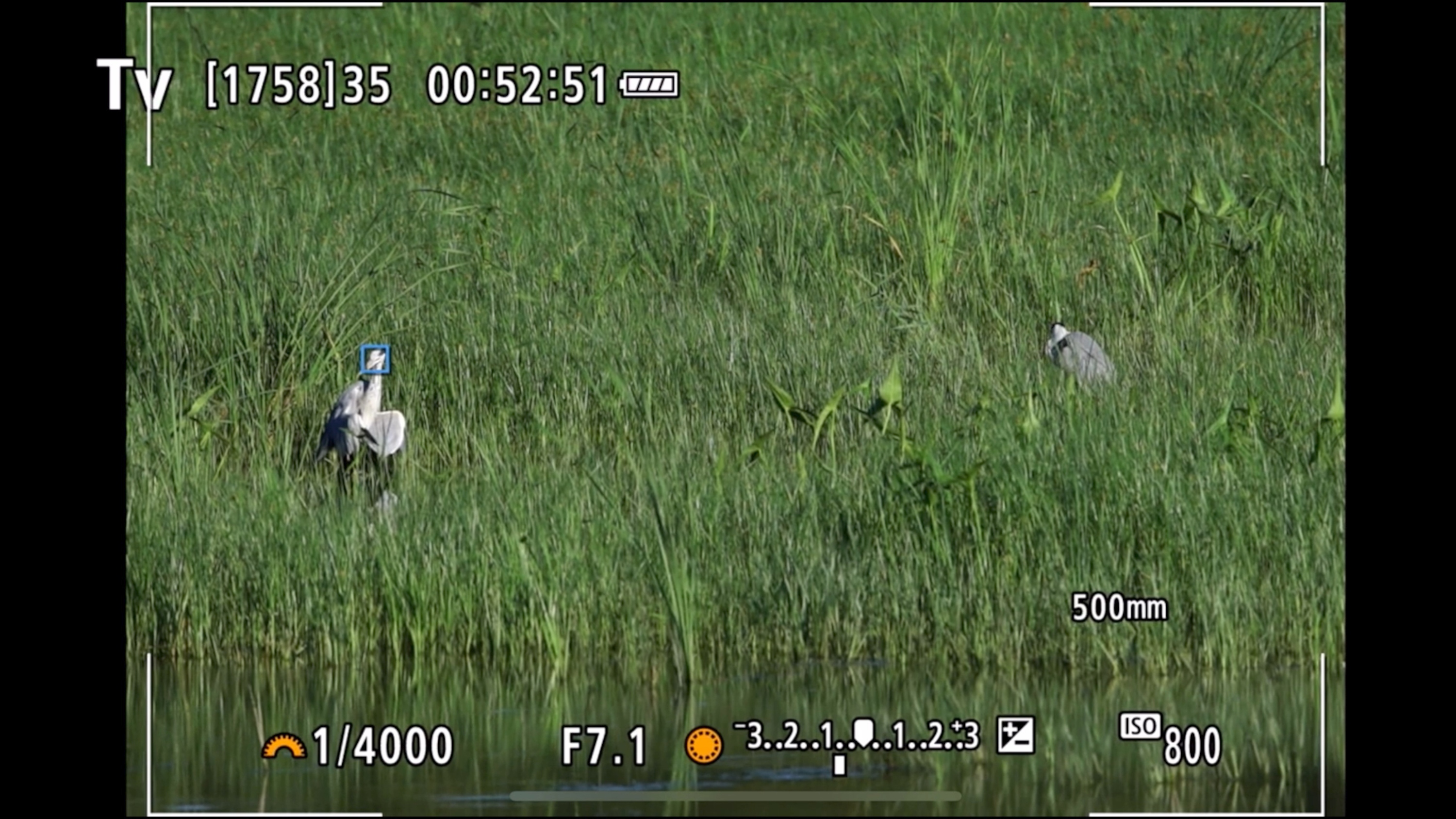 佳能eosr7目前值得买吗,佳能eosr7优缺点