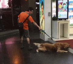 塞进去容易拔出来难,妹子着急死了哈哈哈哈哈哈！真的尴尬啊