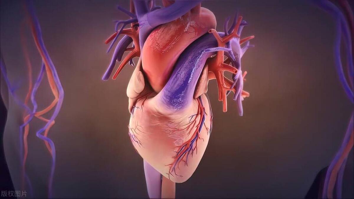 正常人心跳频率多少是正常范围,心跳快慢与寿命长短有什么关系