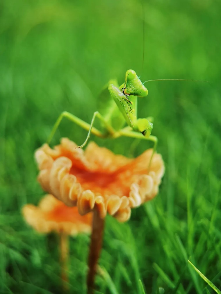 教你一招拍大片,拍摄60个技巧