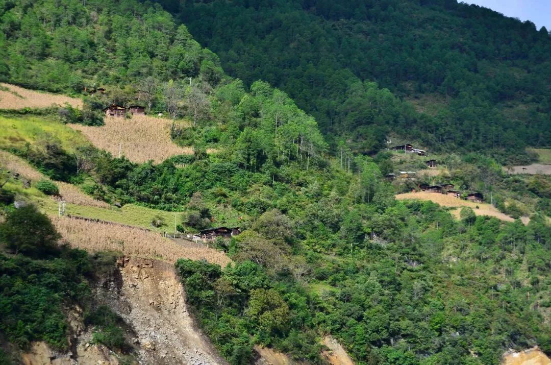 2009年，云南一男子强占发廊女为妻，住深山老林，最后结果如何？