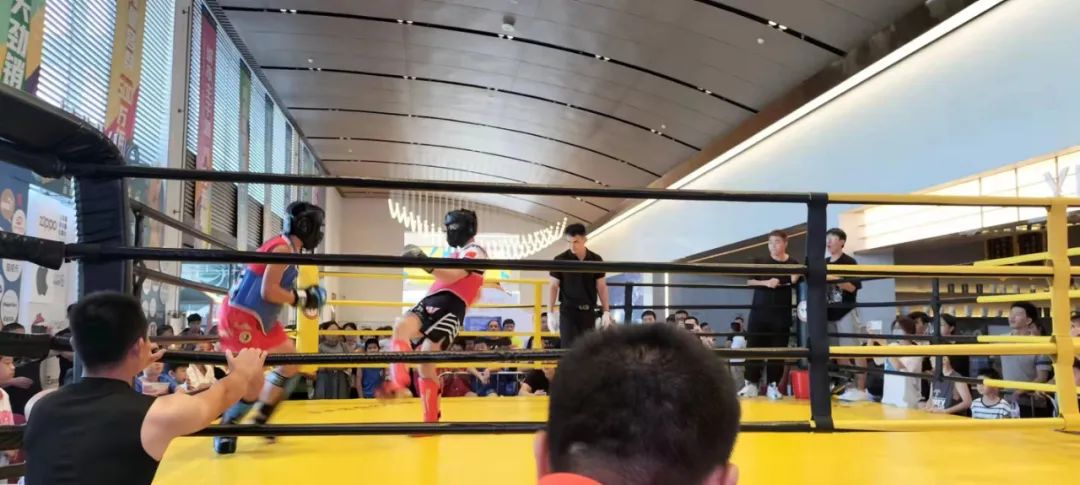 漳州市散打公开赛,漳州市搏击散打比赛