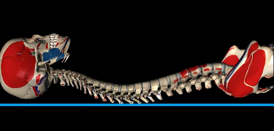 腰椎病用什么床垫最好,腰椎患者选床垫