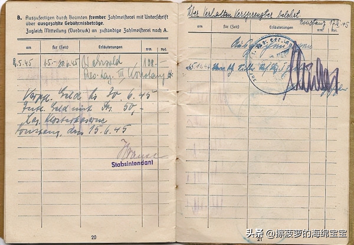 二战时德国军人的肩章,二战德国兵种领章