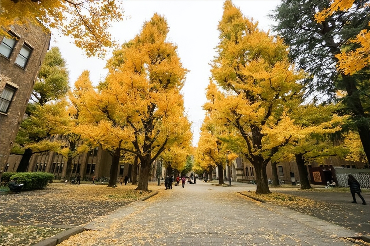 亚洲第一高校东京大学