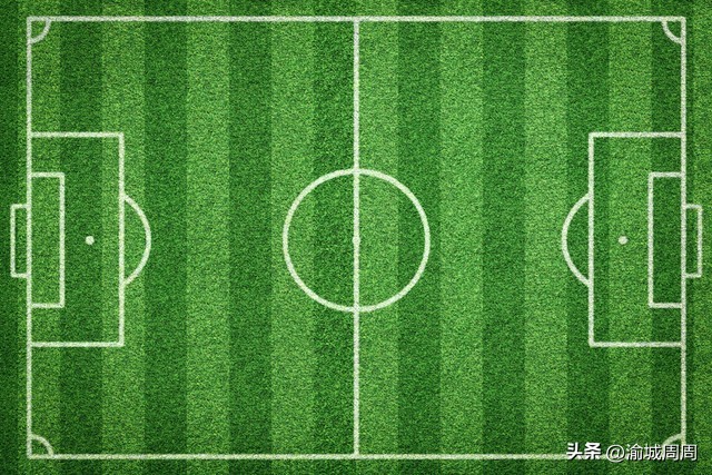 世界杯球场草皮是真的吗,足球场的草坪世界杯