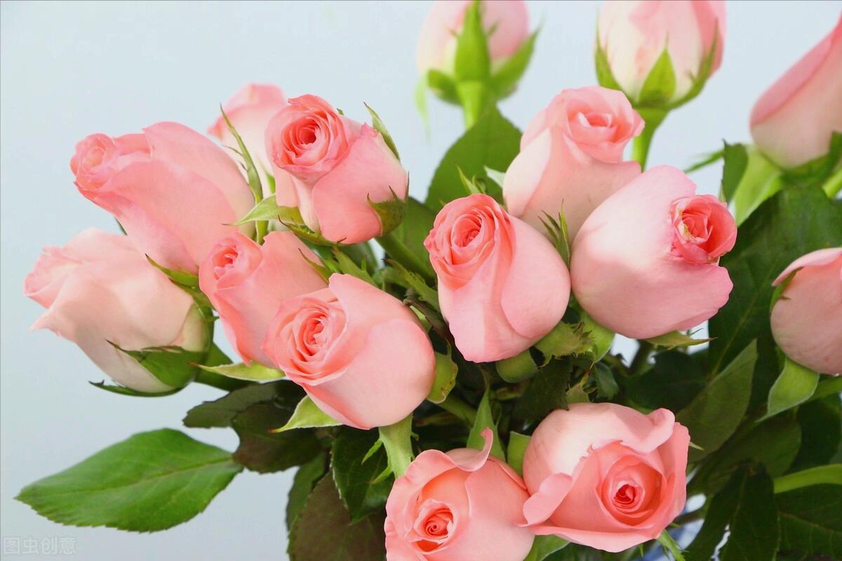 感恩母亲节祝自己节日快乐,母亲节感恩祝福词妈妈我爱你