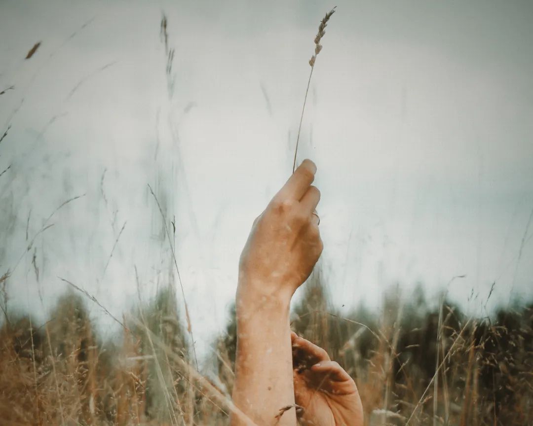 一个动作暴露了你的弱点,一个习惯性的动作暴露自己的内心