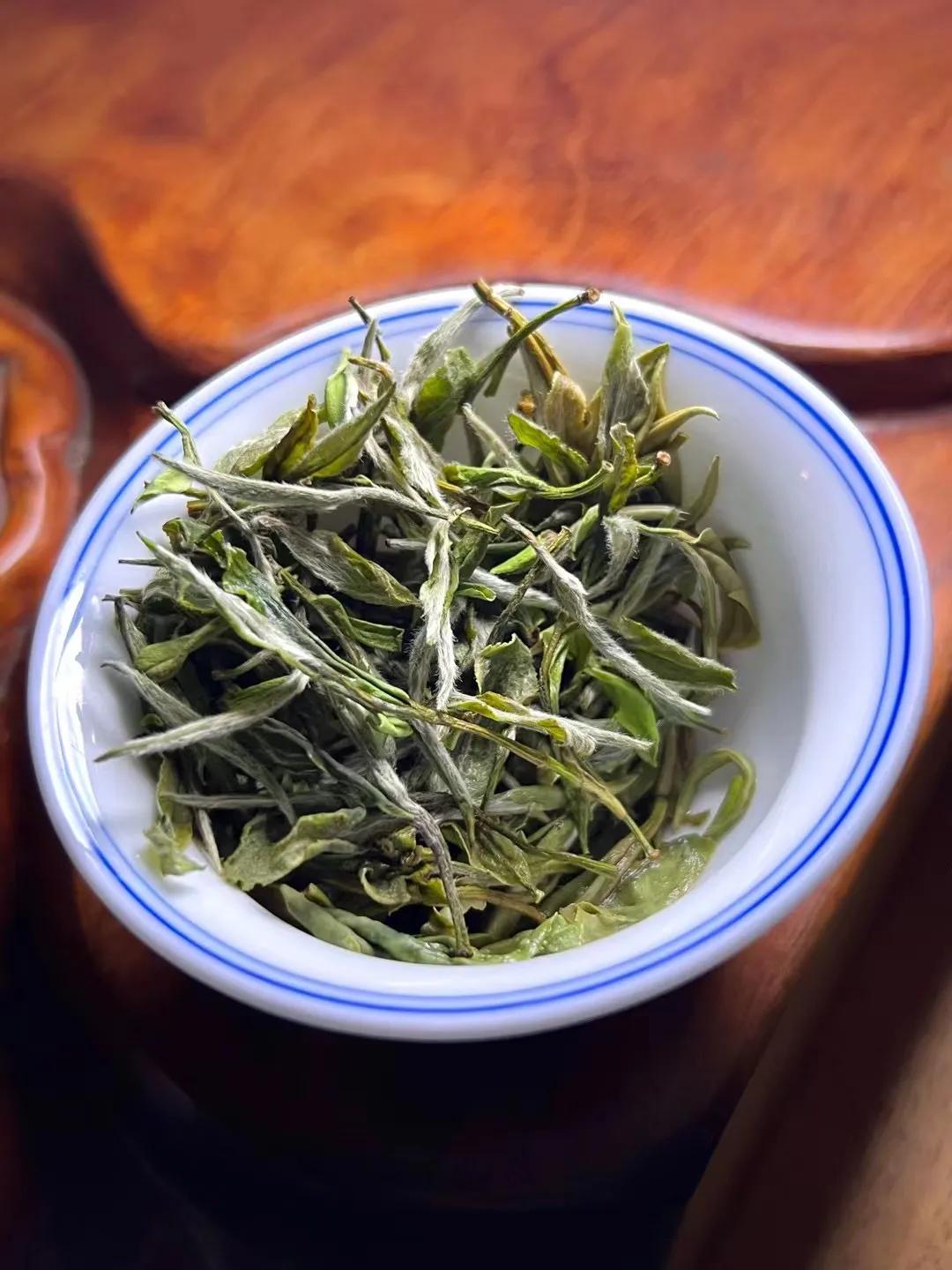 白茶初入门的新手如何能买到好茶,白茶新手入门必买