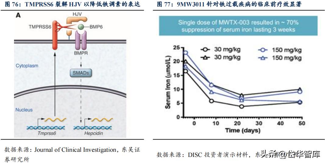 有效避开内卷，迈威生物：ADC锋芒初显，快速成长的Biopharma