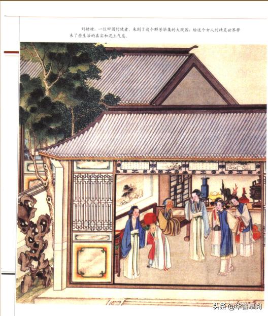 文学鉴赏红楼梦800字大学,红楼梦文学欣赏