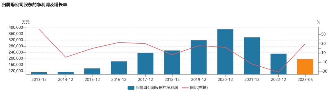 安防行业大华股份,大华安防股份有限公司