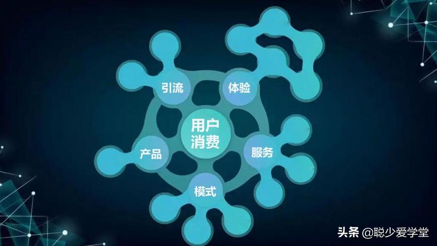 洗护平台怎么推广产品,洗护类产品如何通过动销提升销量