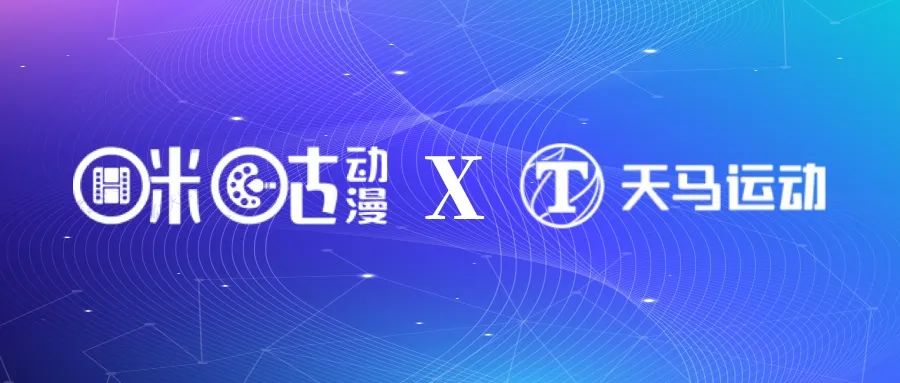 天马运动篮球,天马运动限量版