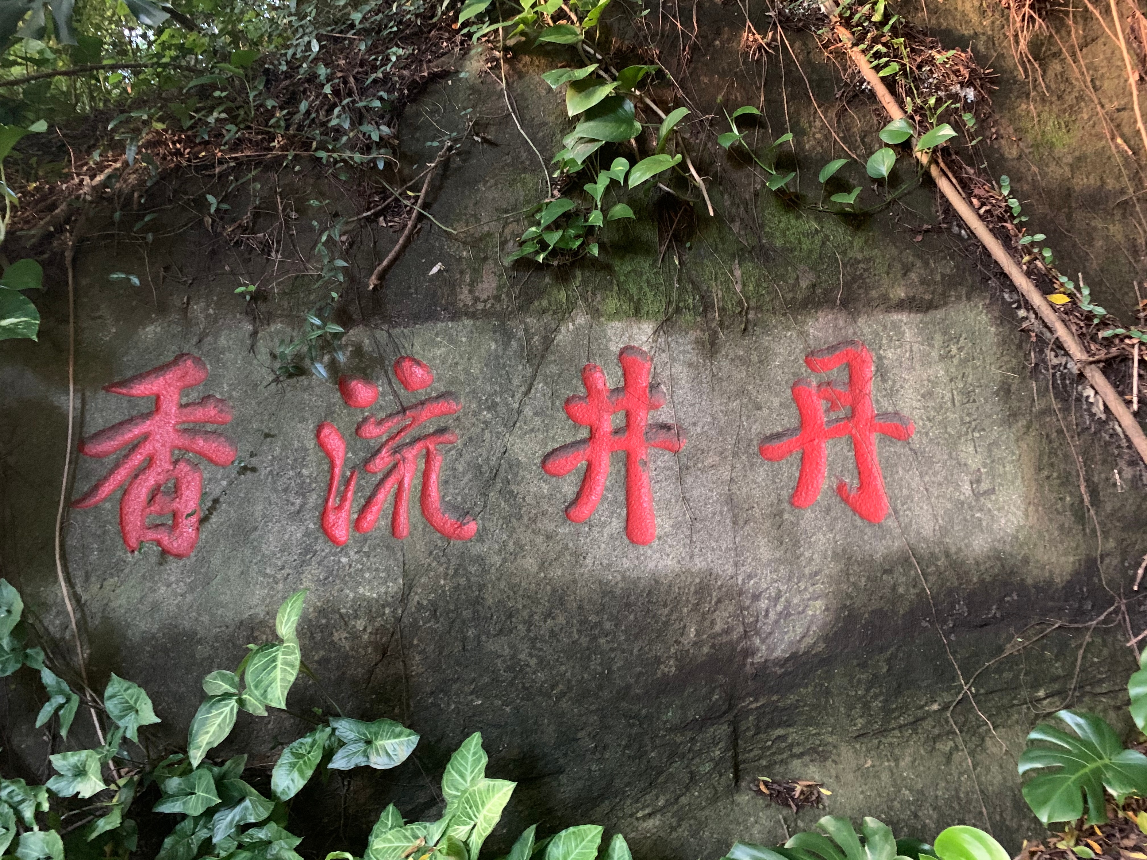 九阴真经神机谷,九阴真经水月洞天