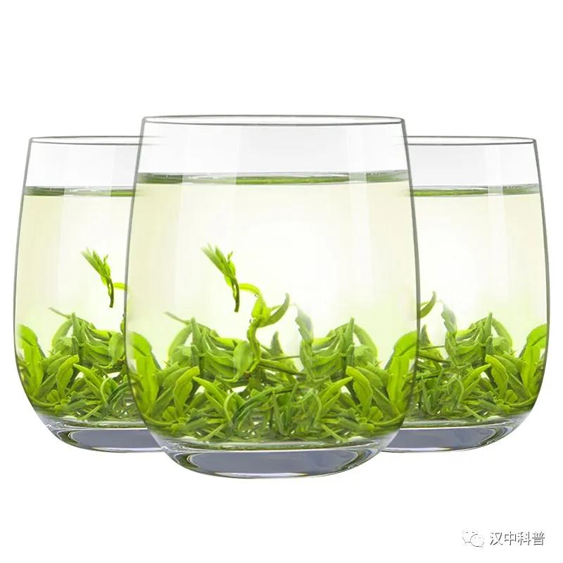 陕西汉中名茶,汉中茶叶加工制作全过程