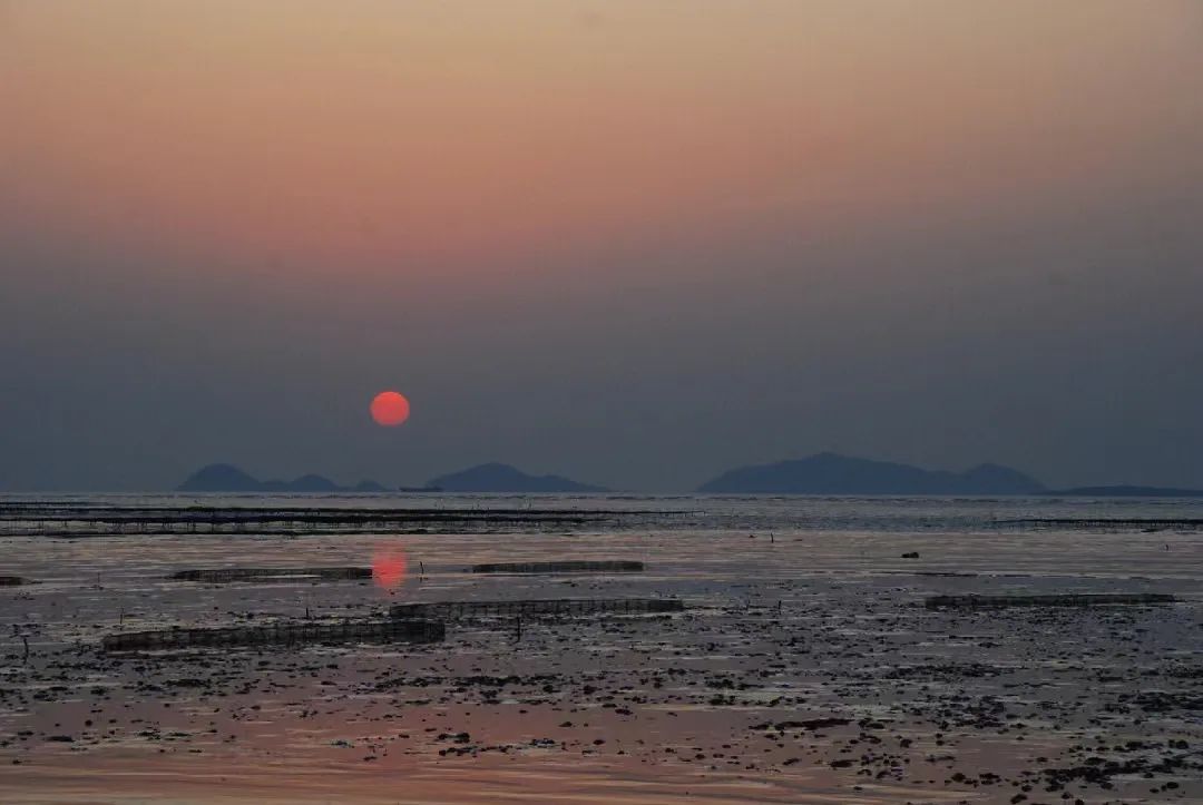 东海最后一处冷门小县城，藏了个海上仙子国，一口小海鲜封神