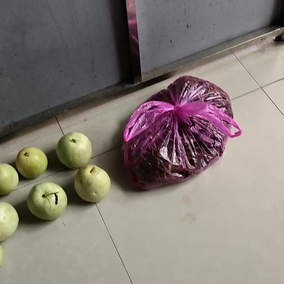 谁知道这是什么蘑菇,谁知道这是什么动漫