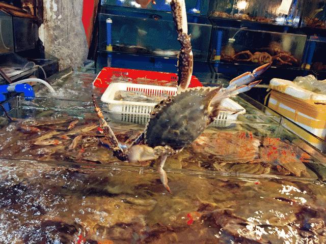 死螃蟹放冰箱7天能吃吗,死螃蟹高温处理能吃吗