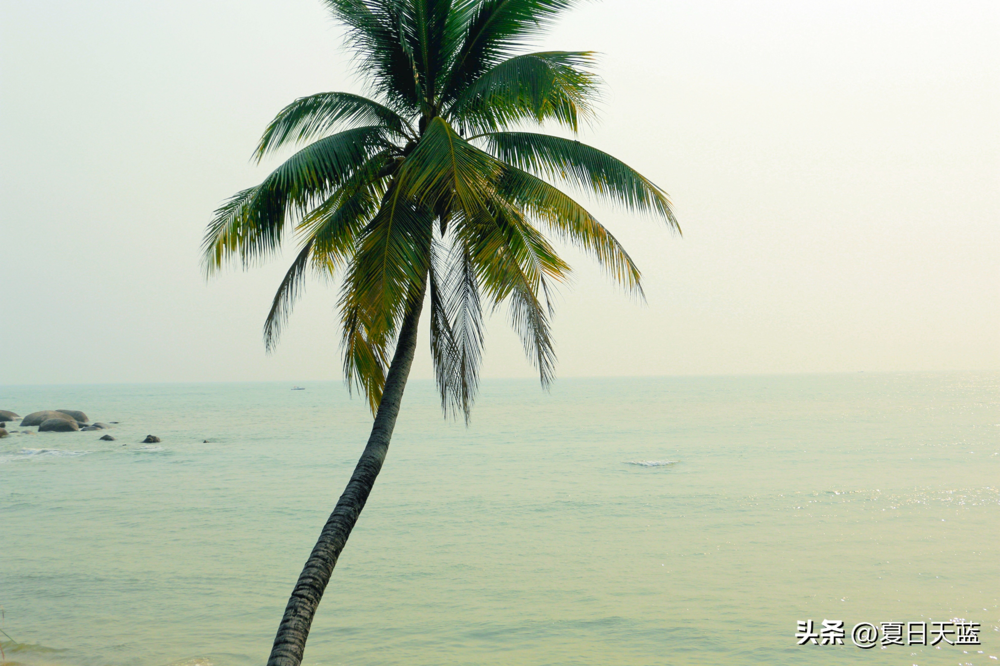 三亚度假最佳选择,三亚度假正确打开方式