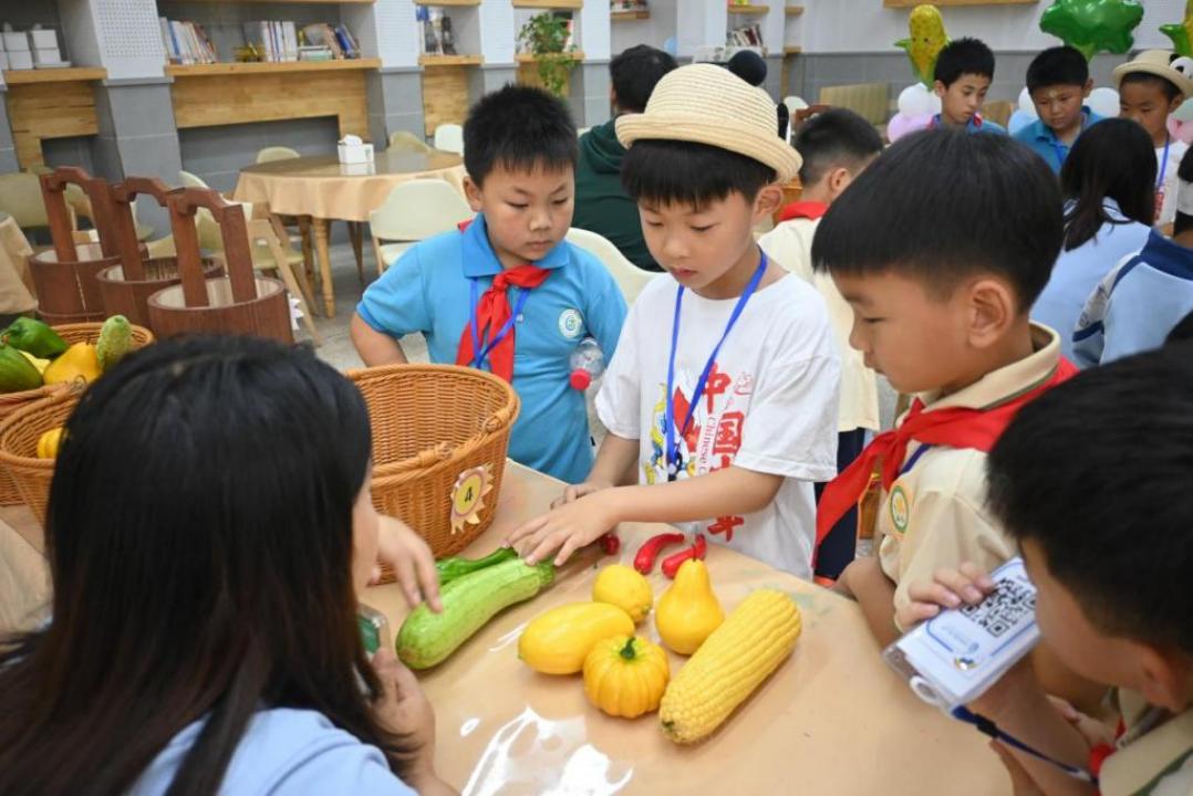 大渡口双山实验小学入读标准,大渡口双山实验小学是育才吗