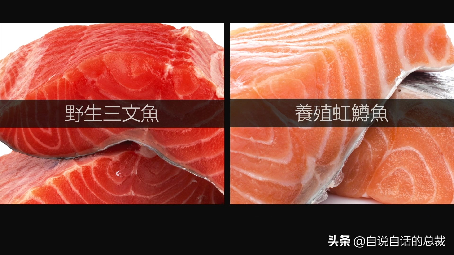 三文鱼水光真假分辨,哪种才是真正的三文鱼