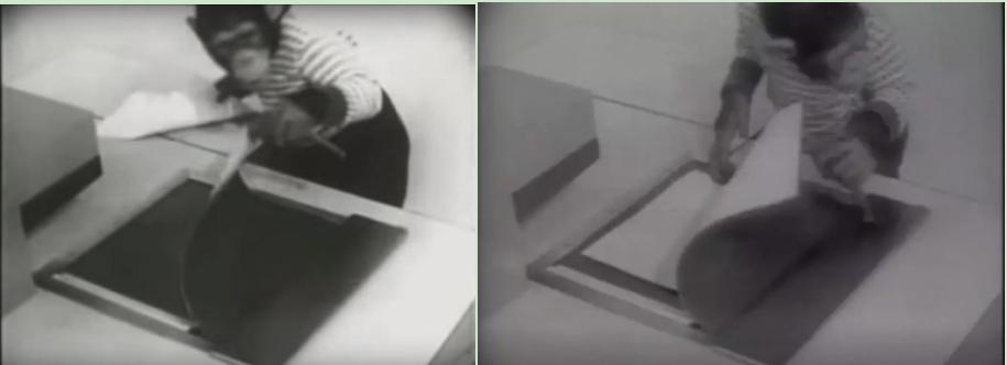 it历史讲解,it历史连载