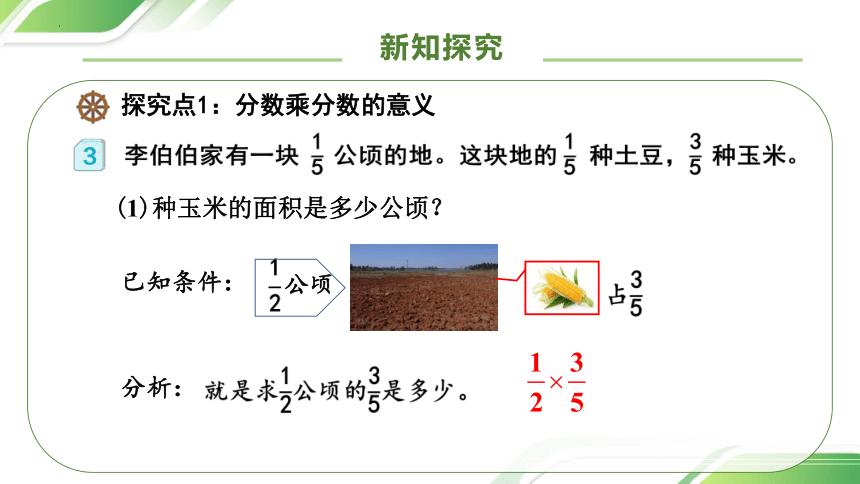 六年级上册数学状元大课堂课件,六年级上册数学总复习的课件