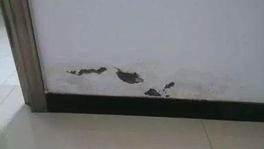 墙面起皮掉漆怎么办,墙面渗水掉漆怎么处理