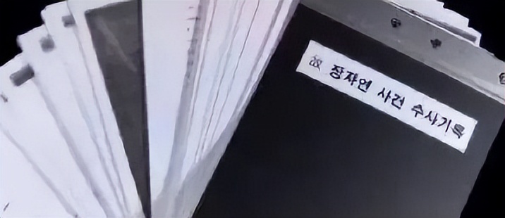 张紫妍案件最近新消息,张紫妍案件最新曝光