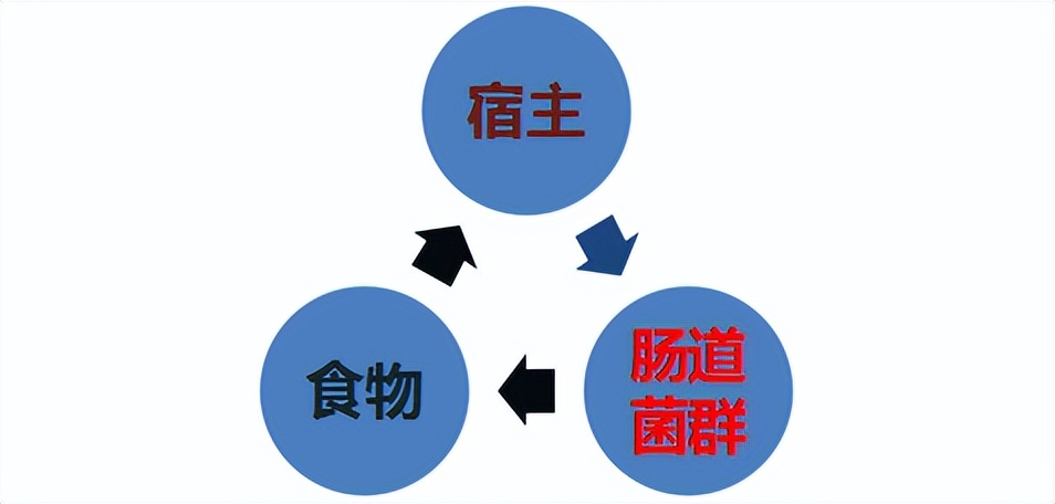 我们的肠道有多脏看完吓一跳,肠道有多脏胆小者勿入