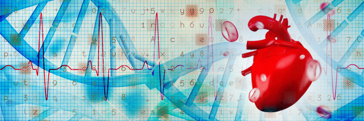 吃什么保养品对心脏效果最好,保护心脏的补品有效吗