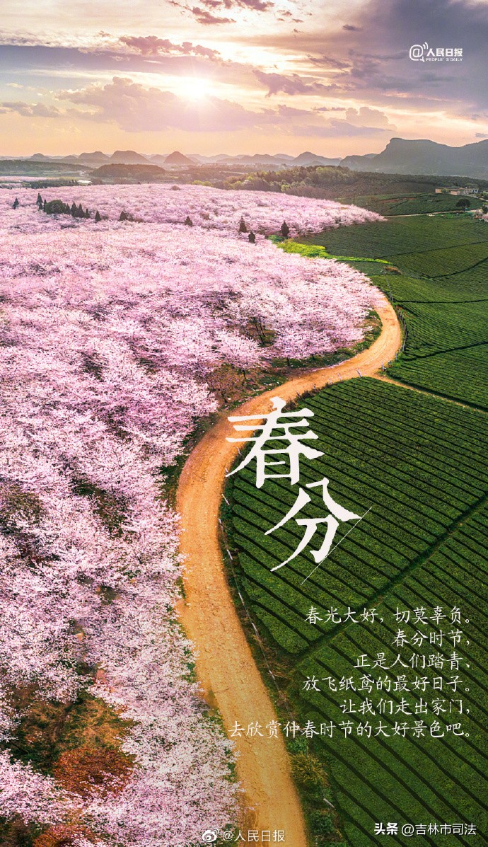 今日春分春暖花开,今日春分不负好春光