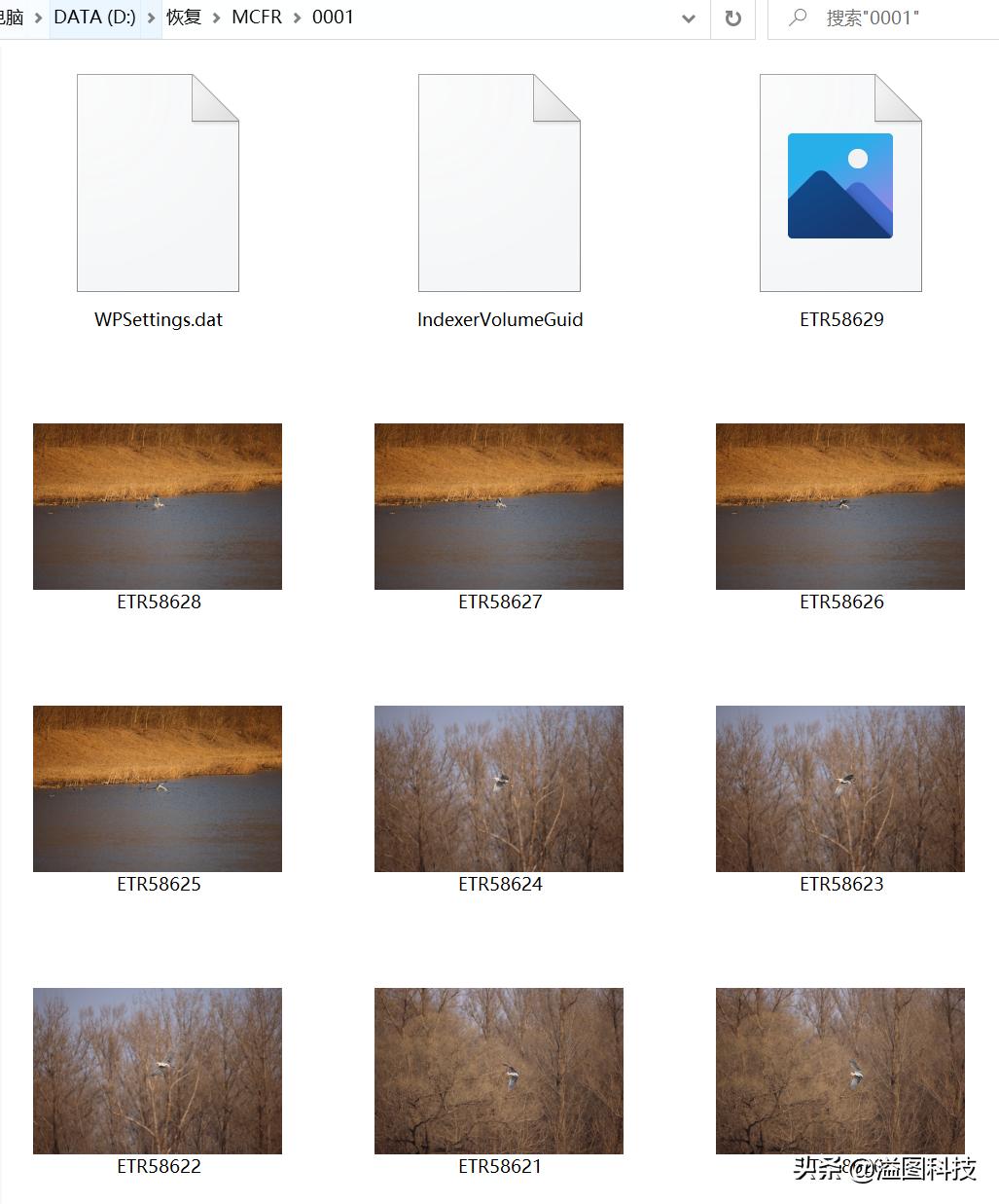 有没有照片被删可以恢复的软件,不小心删错软件了怎么恢复