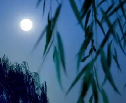 仲夏夜之梦戒指,仲夏夜之梦钻戒