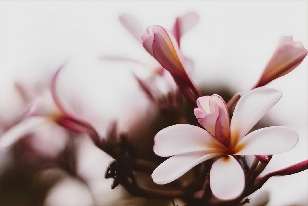 对你有恩的人请你吃饭怎么办,对你有恩的人别老用请吃饭来报答