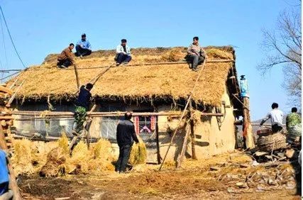 梅花香自苦寒来人生感悟,梅花香自苦寒来的上一句是什么