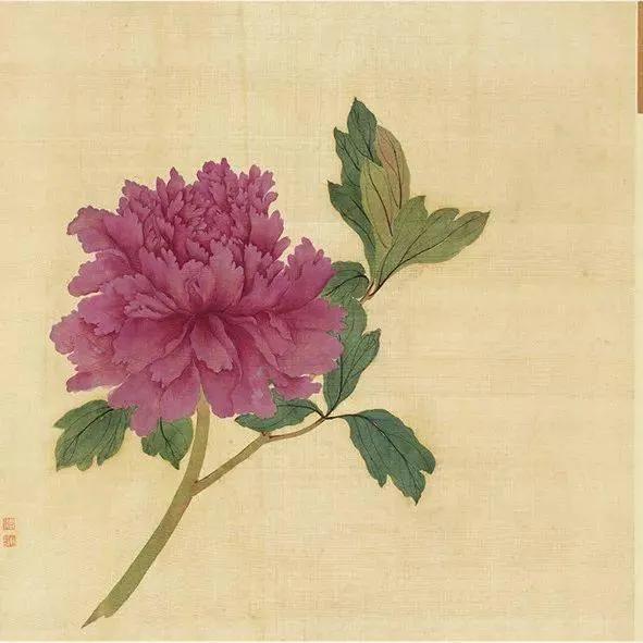 蒋廷锡牡丹画法,蒋廷锡百种牡丹画法